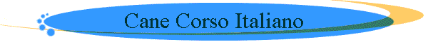 Cane Corso Italiano