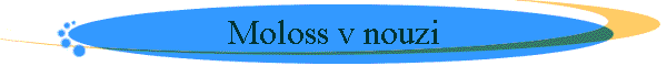 Moloss v nouzi