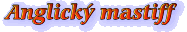 Anglick mastiff