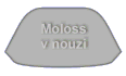 Moloss club CZ - Moloss v nouzi
